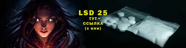 крисы Абаза