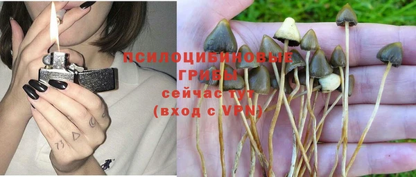 крисы Абаза