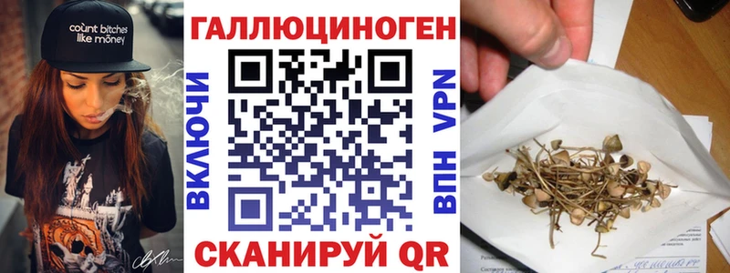 omg ссылка  Егорьевск  Псилоцибиновые грибы Psilocybe 